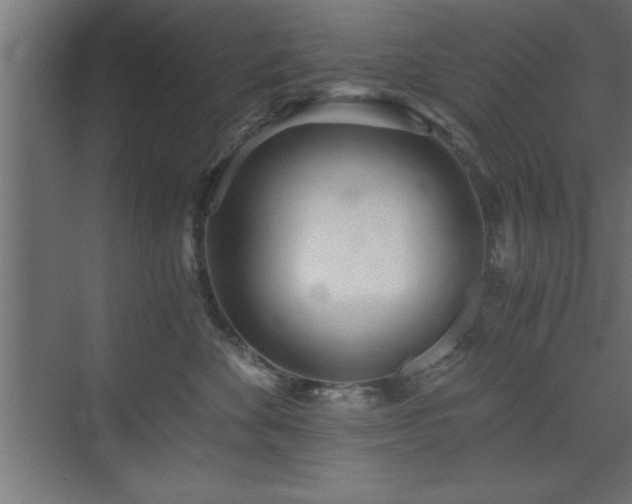 X0000073410524200607281129