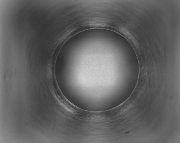 X0000073410533200607281129