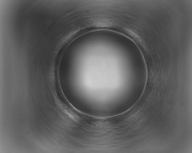 X0000073410535200607281129