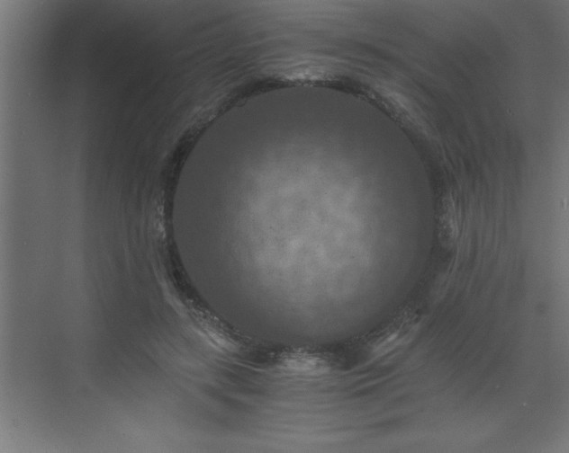 X0000073410547200607281129