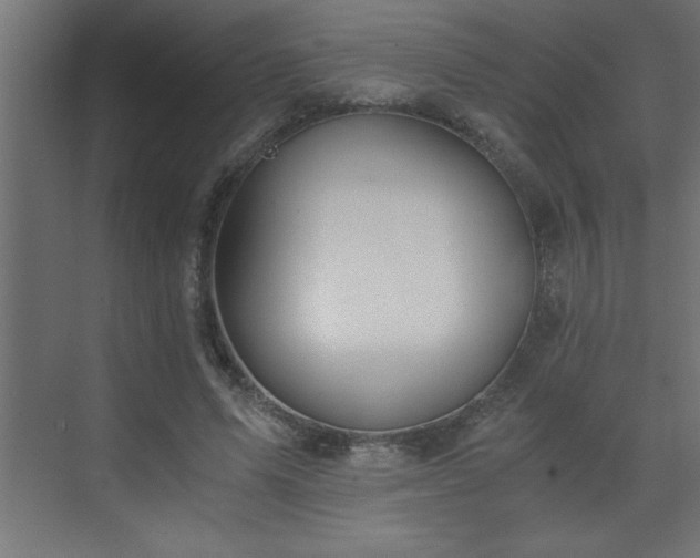 X0000073410591200607281128