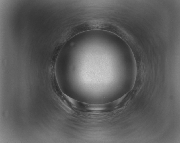 X0000073410601200607281128