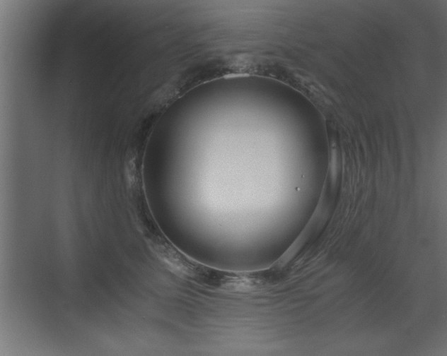 X0000073410611200607281128