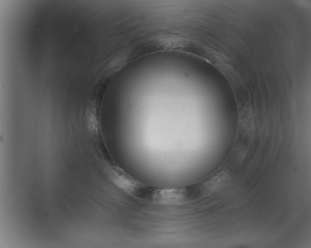 X0000073410622200607281128