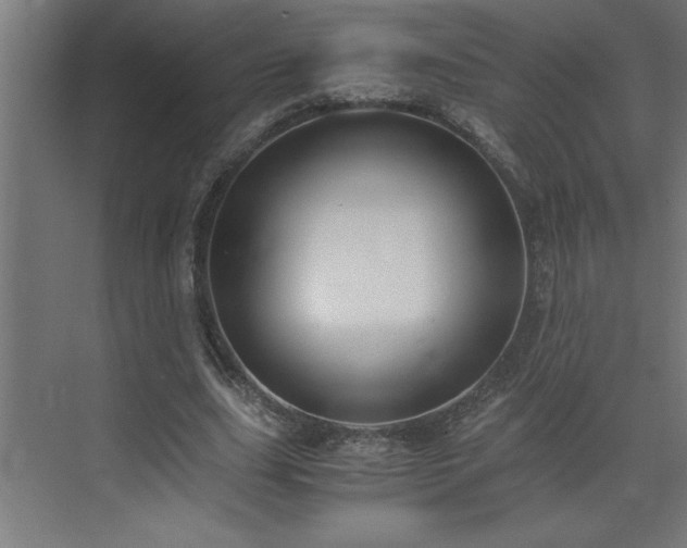 X0000073410631200607281127