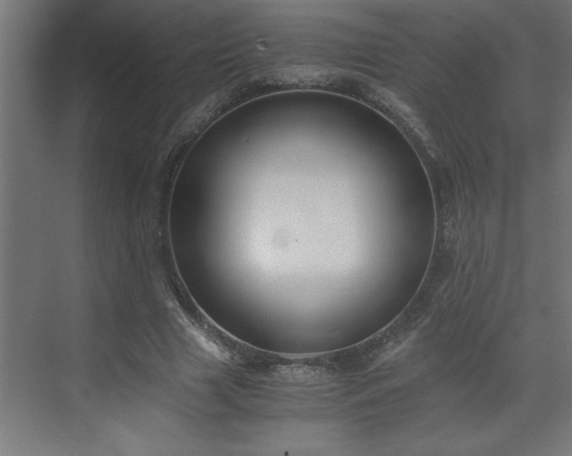 X0000073410633200607281127