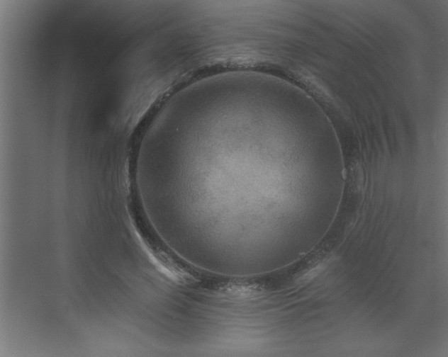 X0000073410638200607281127