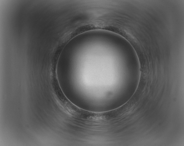 X0000073410639200607281127