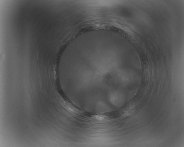 X0000073410654200607281127