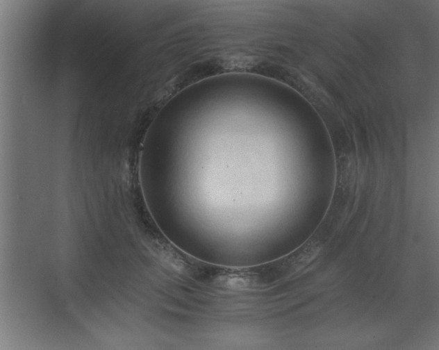 X0000073410655200607281127