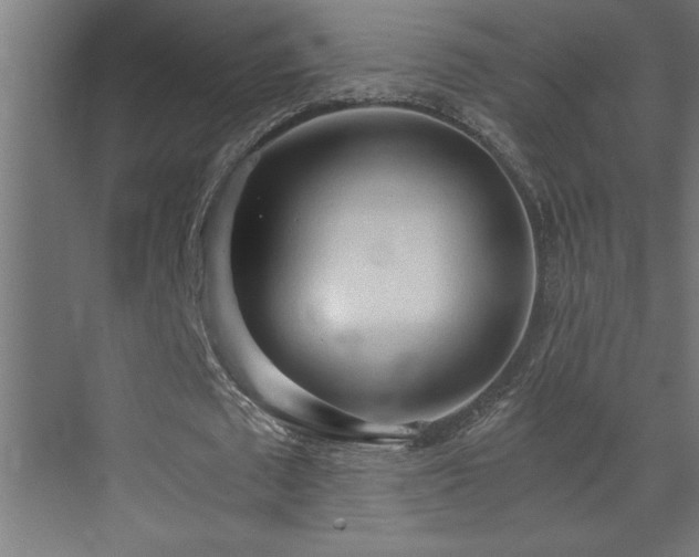 X0000073410673200607281127