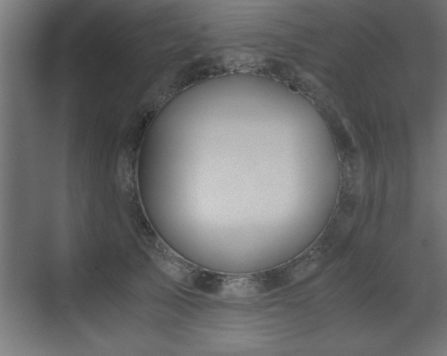 X0000073410705200607281126