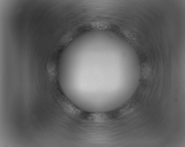 X0000073410713200607281126
