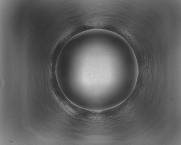 X0000073410735200607281126