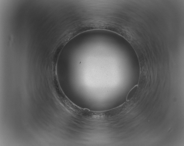 X0000073410744200607281126