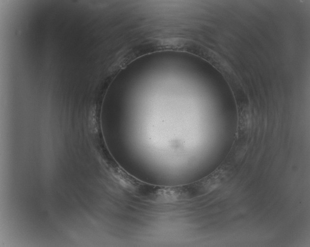 X0000073410764200607281126