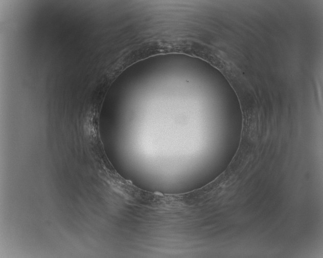 X0000073410770200607281125