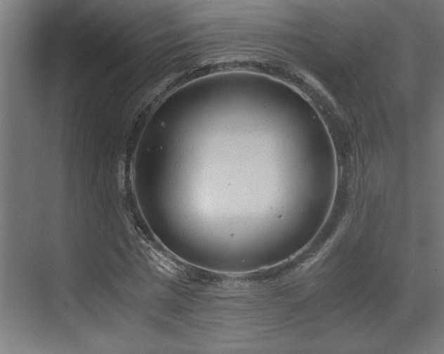 X0000073410777200607281125