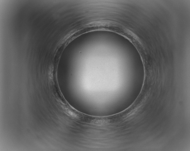 X0000073410778200607281125