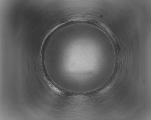 X0000073410779200607281125