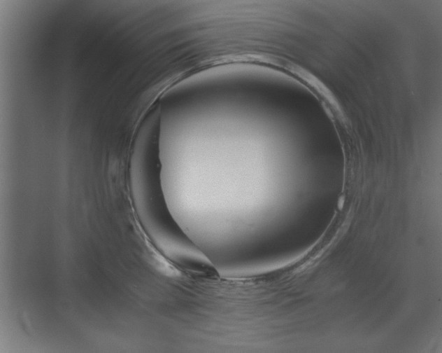 X0000073410809200607281125