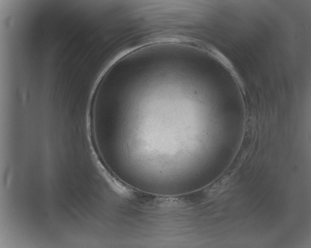 X0000073410811200607281125