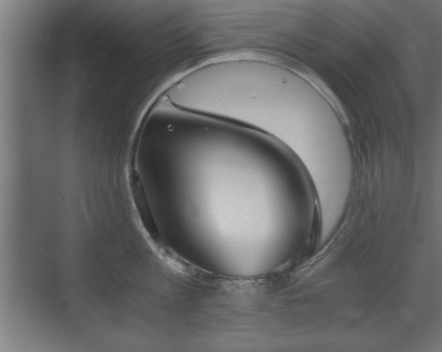 X0000073410813200607281125