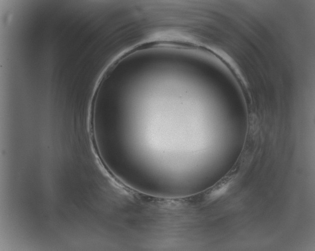 X0000073410815200607281125