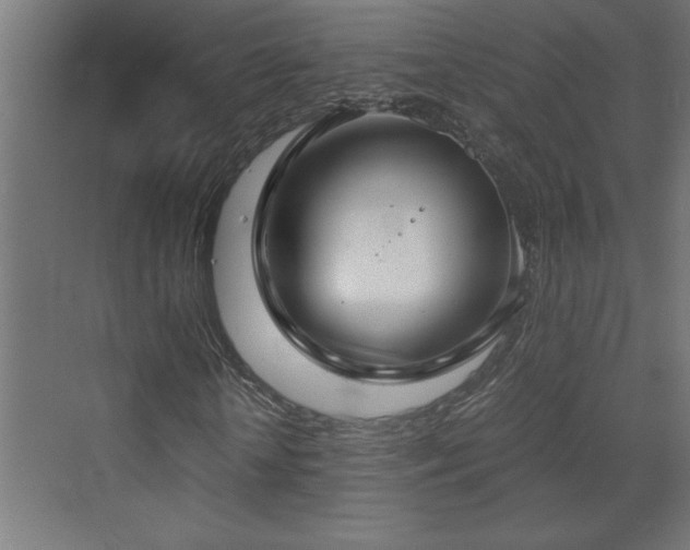 X0000073410818200607281124