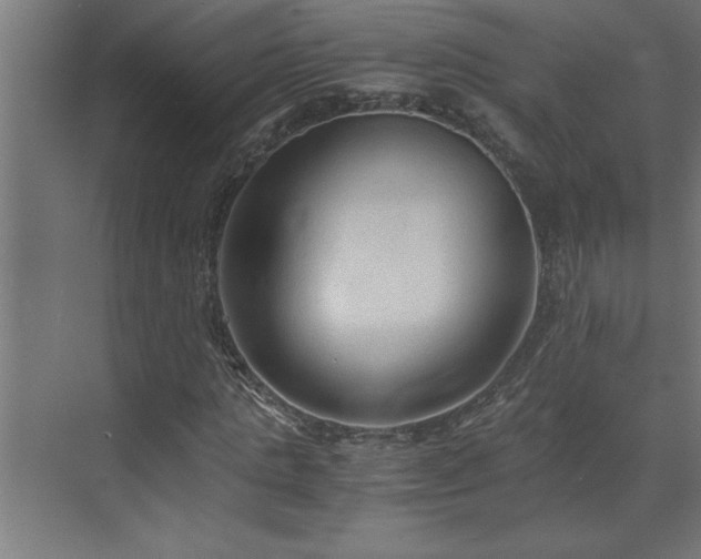 X0000073410821200607281124