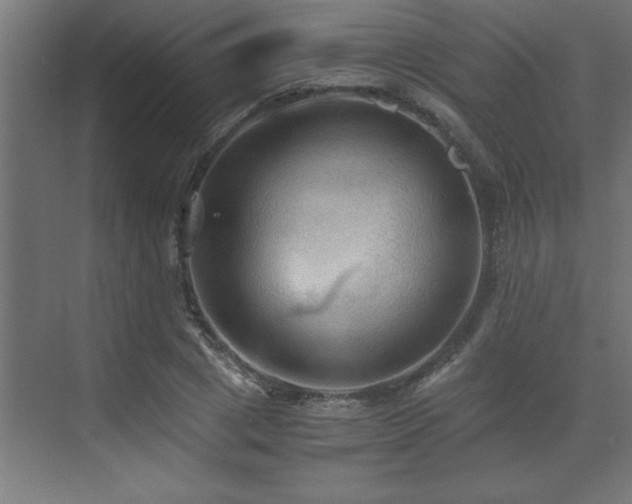 X0000073410833200607281124