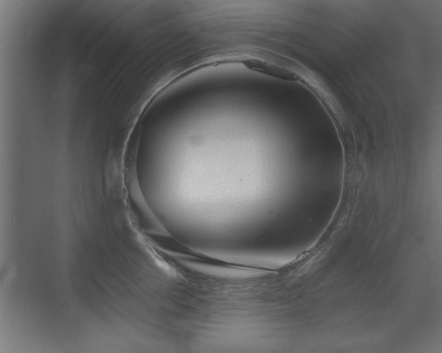 X0000073410858200607281124