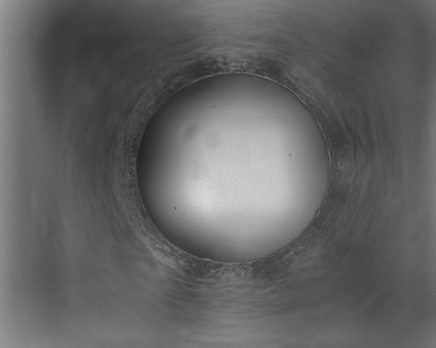 X0000073410865200607281124