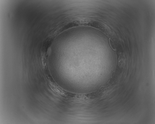 X0000073410866200607281124