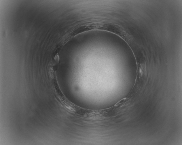X0000073410867200607281124