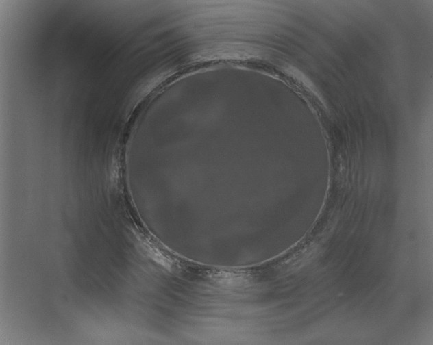 X0000073410874200607281124
