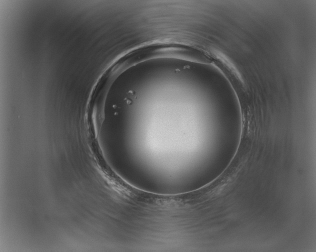X0000073410876200607281123