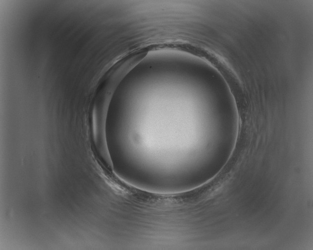 X0000073410881200607281123