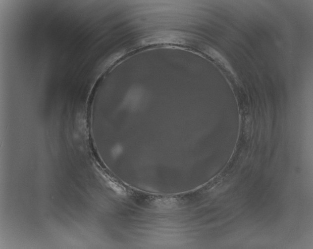 X0000073410882200607281123