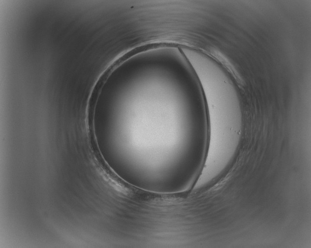 X0000073410884200607281123