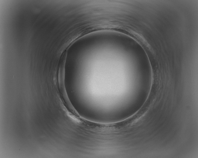 X0000073410889200607281123