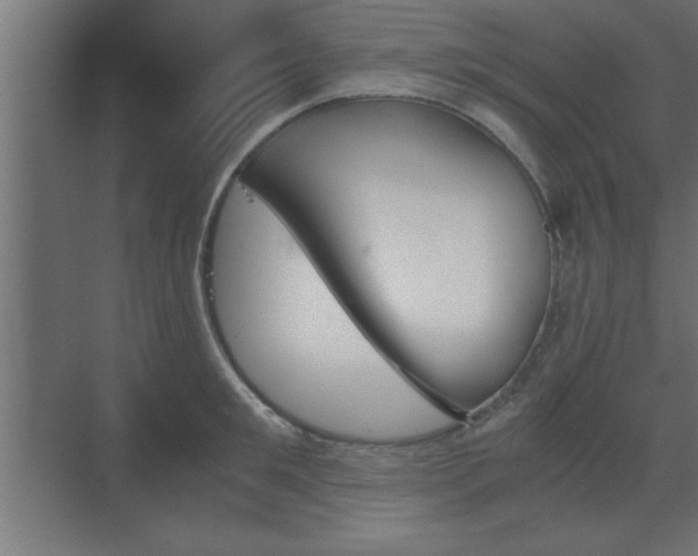 X0000073410901200607281123
