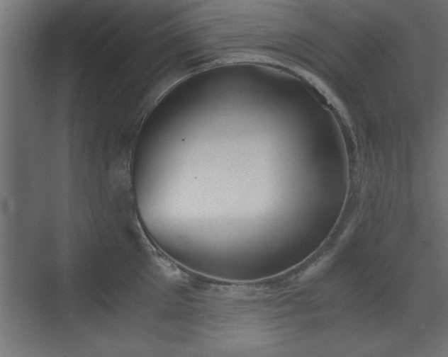 X0000073410905200607281123