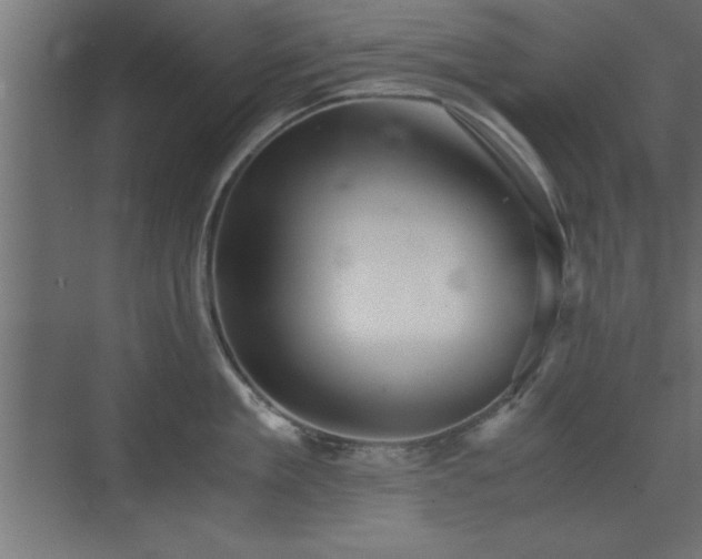 X0000073410909200607281123