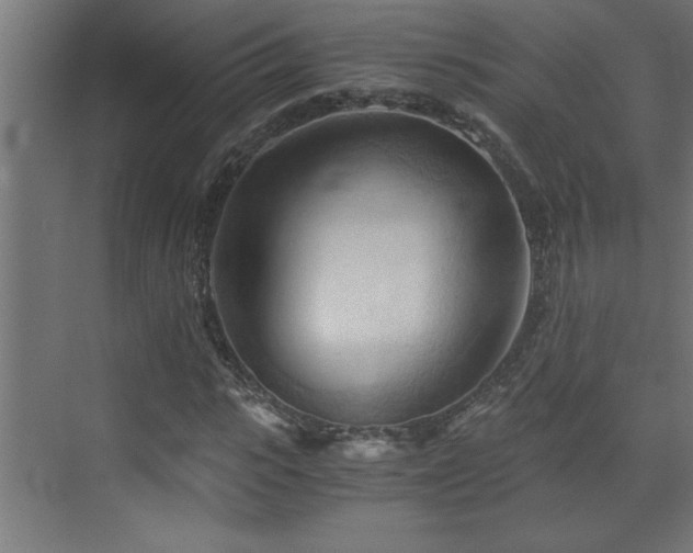 X0000073410919200607281122