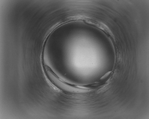 X0000073410946200607281123
