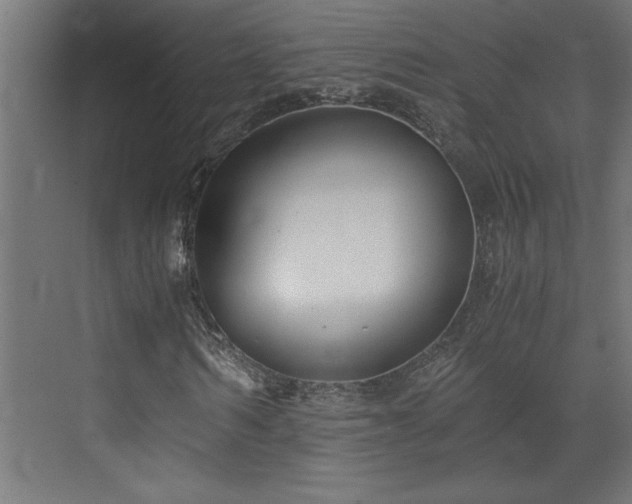 X0000073410962200607281122