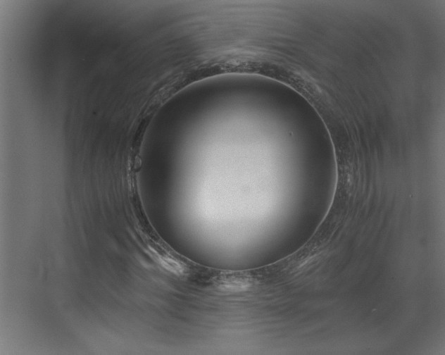 X0000073410964200607281122