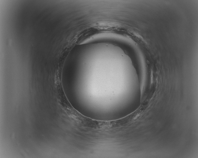 X0000073410965200607281122