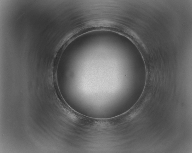 X0000073410978200607281122